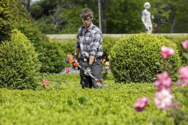 Creating & Maintaining Beautiful Hedges – Our Guide