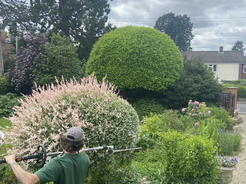 Timing, Frequency and Technique