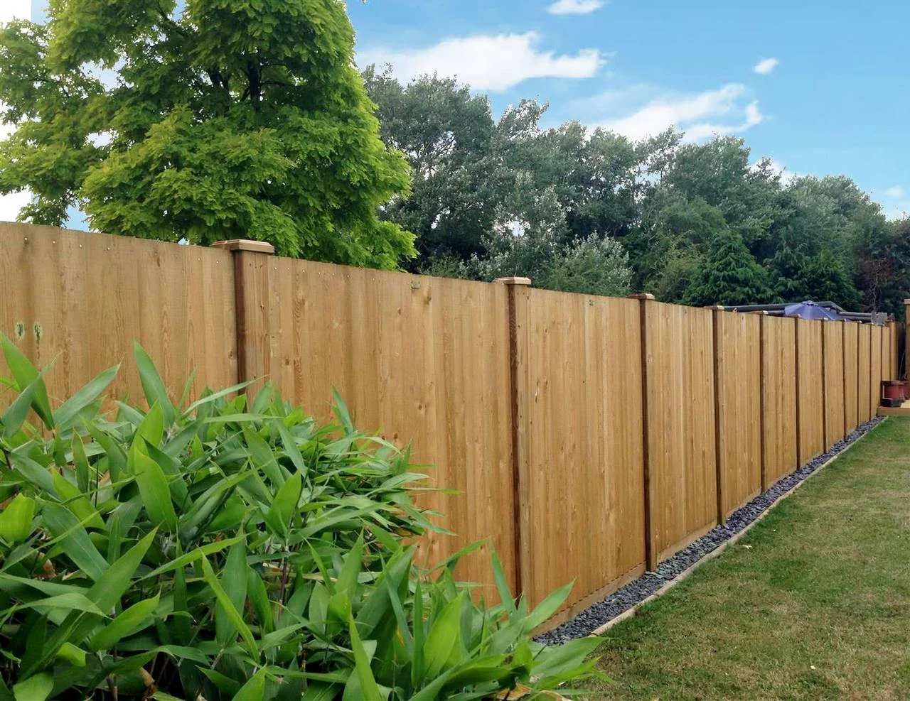 Jacksons Flat Top Featherboard Fence Panels image 7