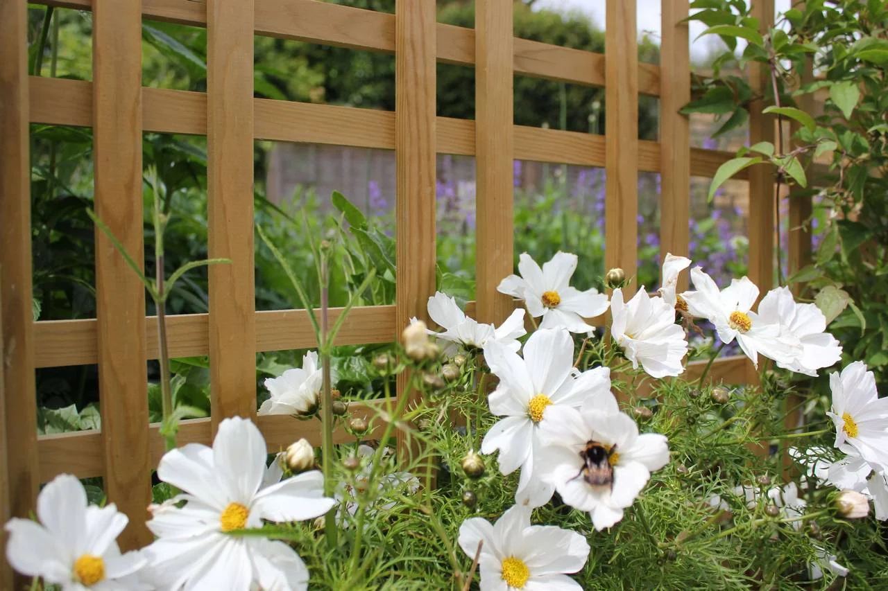 Jacksons Premier Tartan Trellis Panels image 3