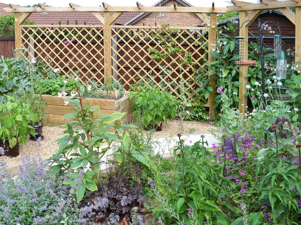 Trellis & Screening