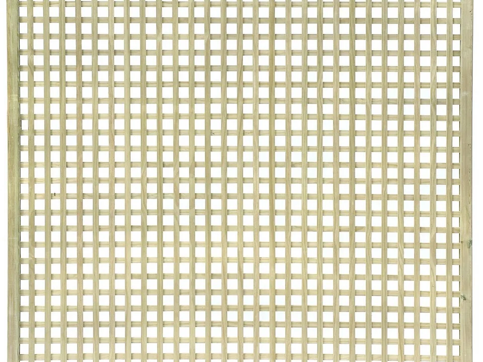 Trellis & Screening