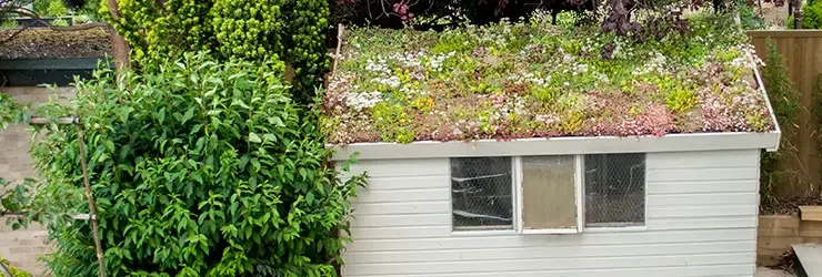 Eco-Conscious Design Philosophy