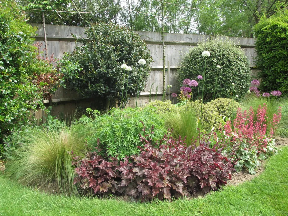 Planting & Plans