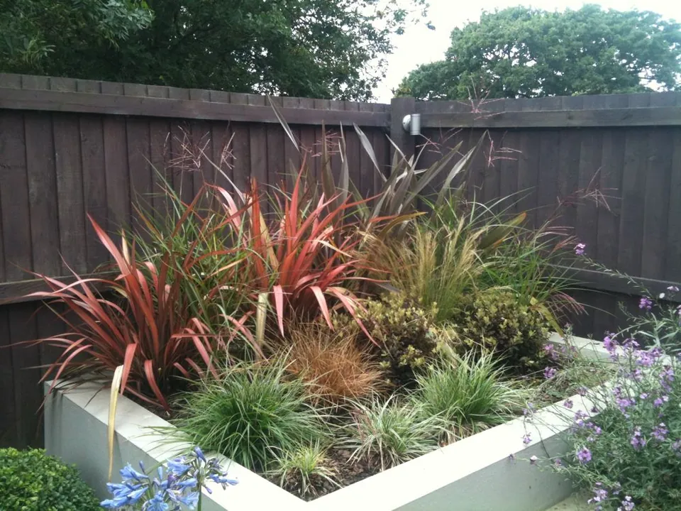 Planting & Planting Plans by George-Stone Gardens