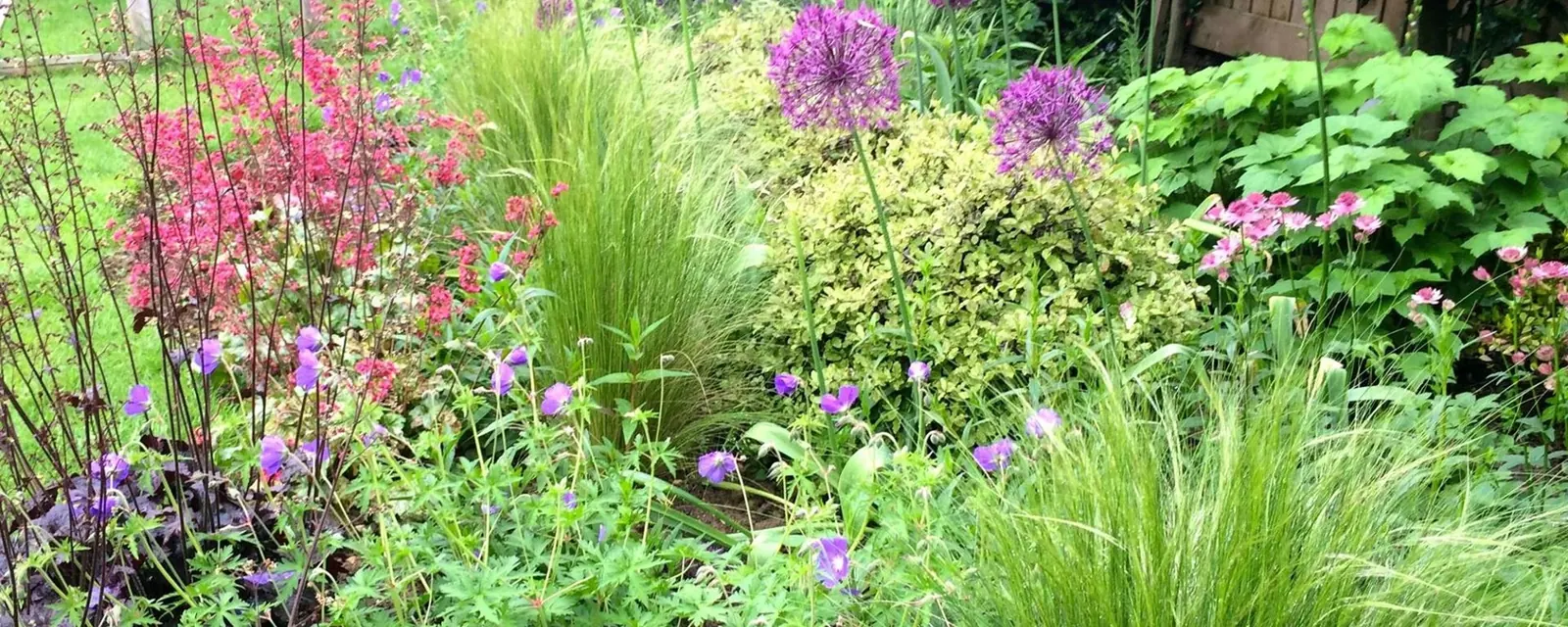 Planting & Planting Plans