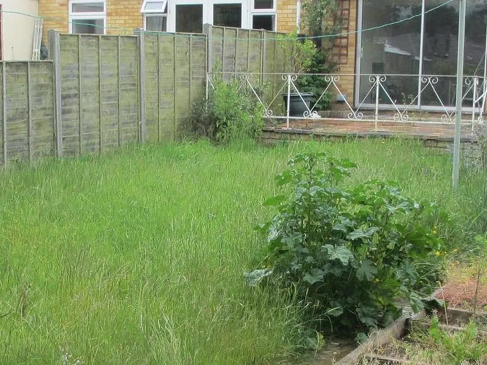Garden Clearance by George-Stone Gardens