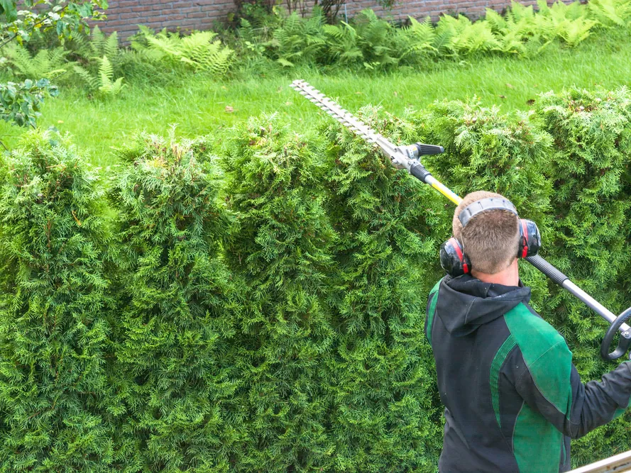 Our Gardeners