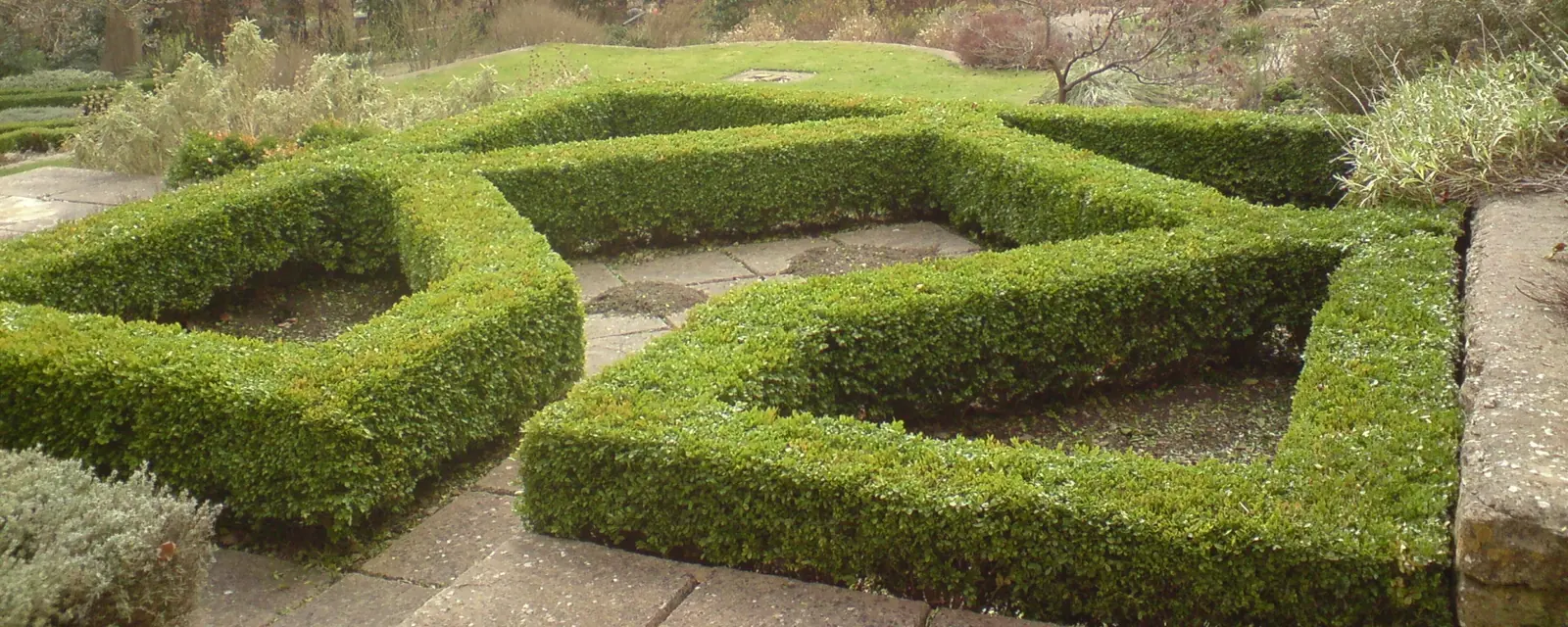Topiary