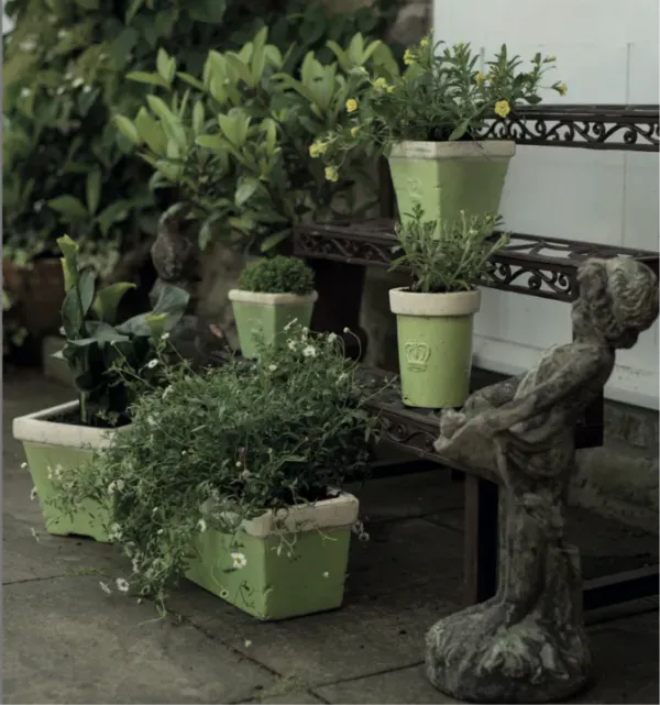 Garden Maintenance