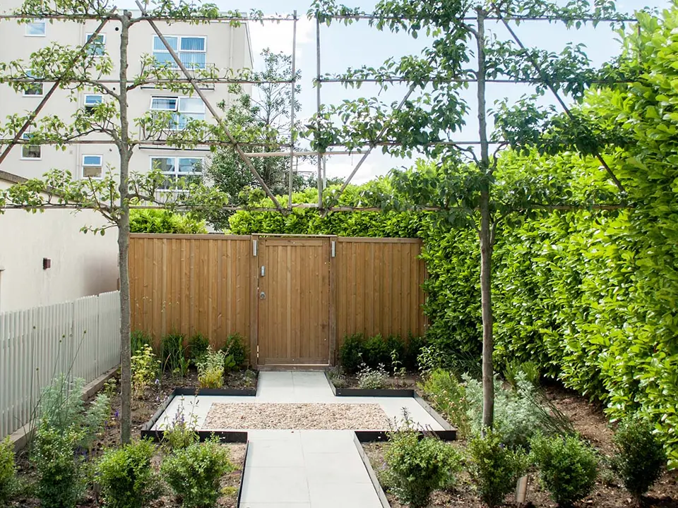 Contemporary Garden for Boutique Hotel
