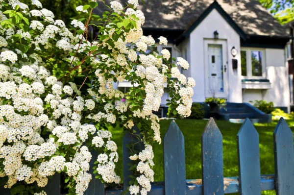 Do You Need a Front Garden?