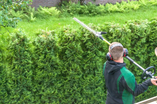 Trimming
