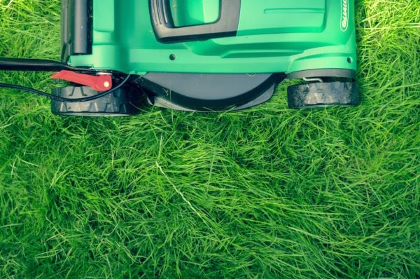 Maintaining your grounds