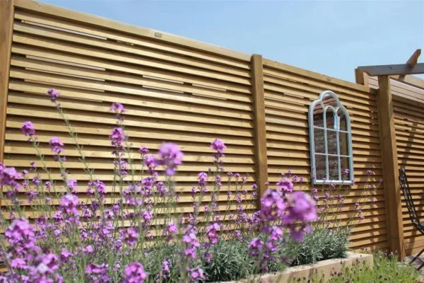 Container Plantings