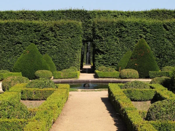 Large garden with boxwood hedge