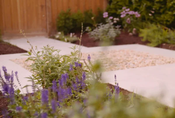 Soft landscaping and planting in a George-Stone garden