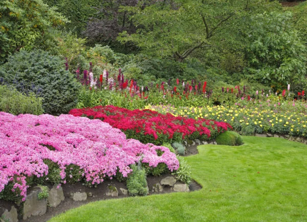 Shrub Islands and Berm for Garden Landscaping