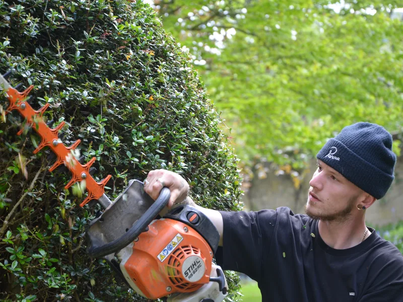 George-Stone Gardens team member