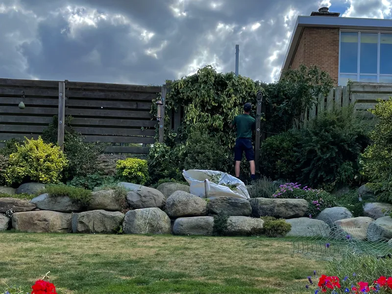 George-Stone Gardens team member