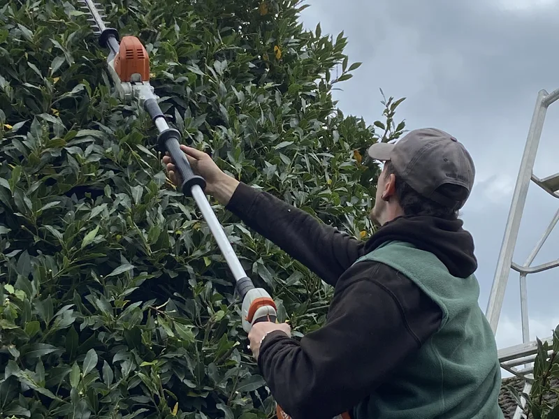 George-Stone Gardens team member