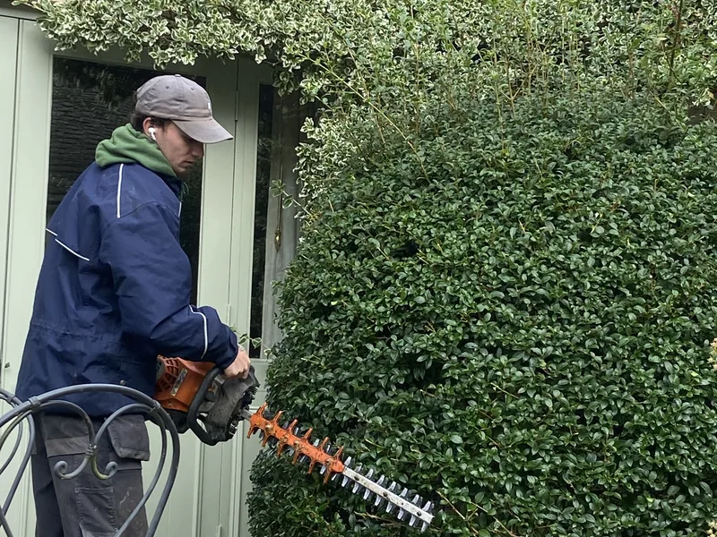 George-Stone Gardens team member