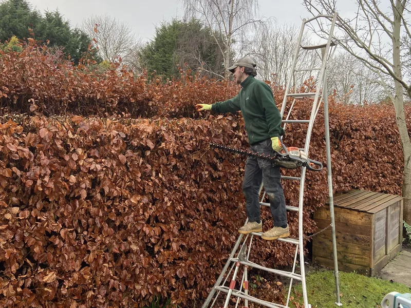 George-Stone Gardens team member