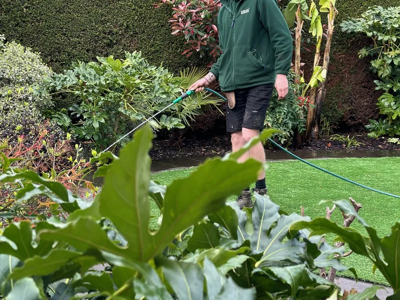 George-Stone Gardens team member