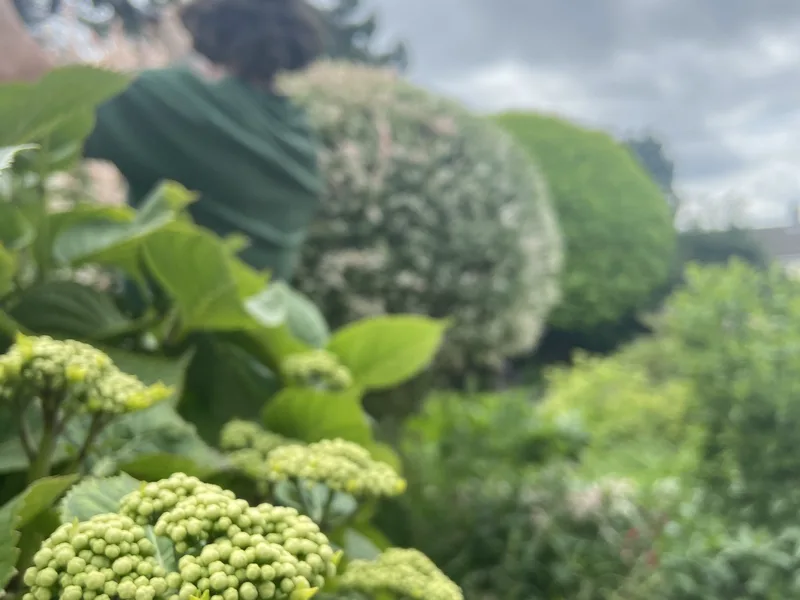 George-Stone Gardens team member