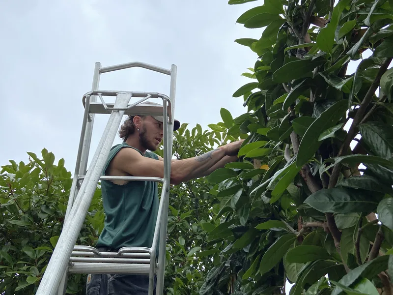 George-Stone Gardens team member