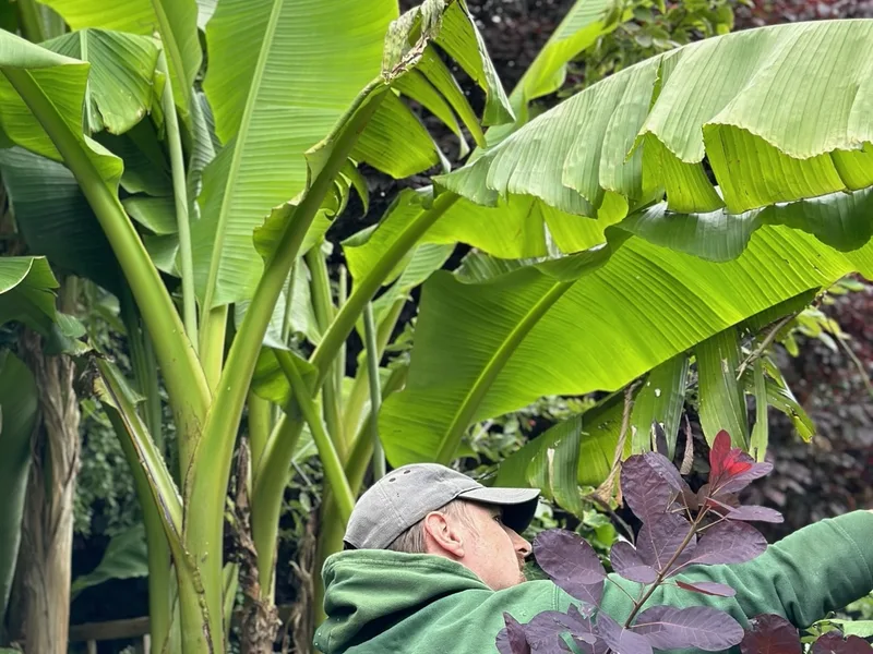 George-Stone Gardens team member