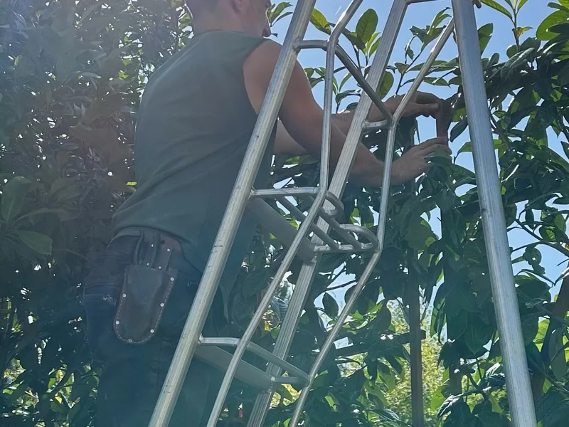 George-Stone Gardens team member