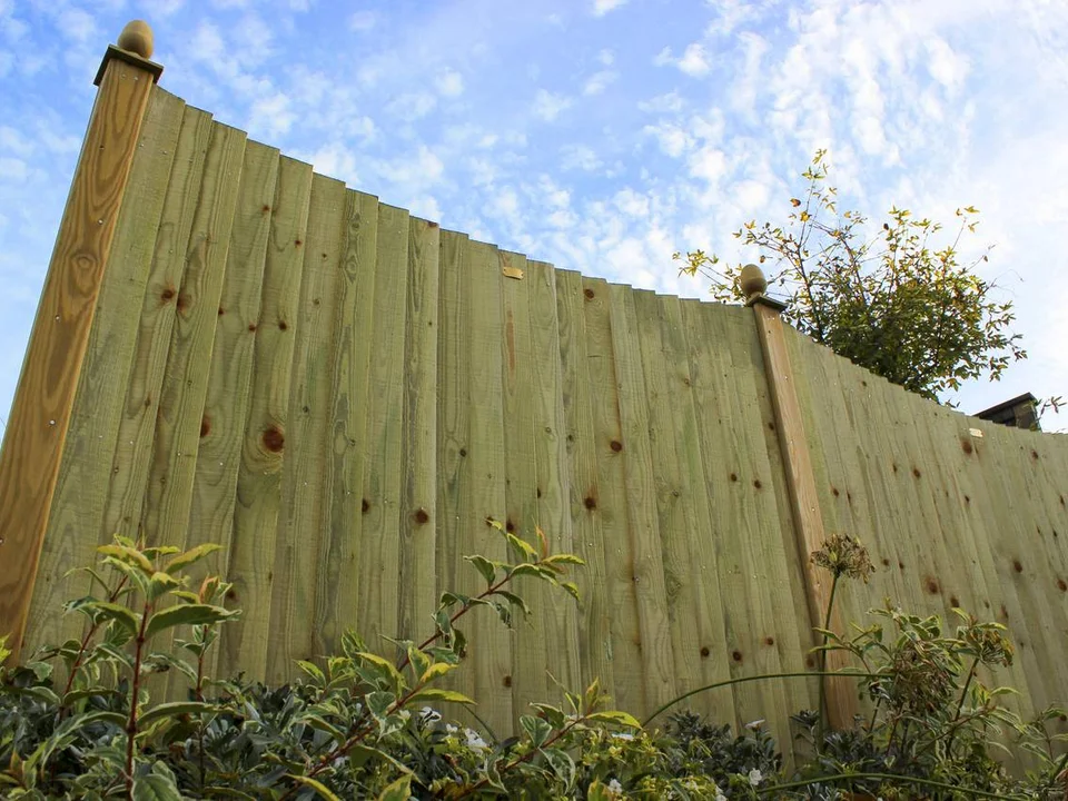 Featherboard Fencing