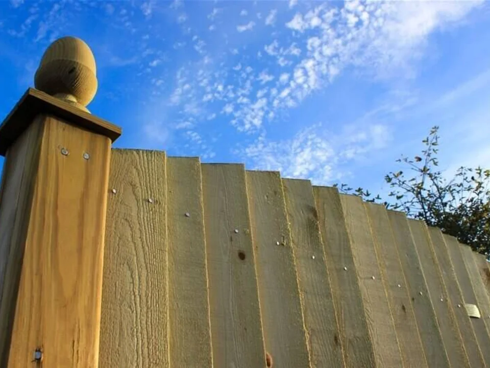 Featherboard Fencing