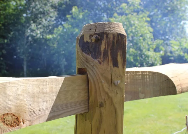 Jacksons Heavy Post And Rail Fencing image 2
