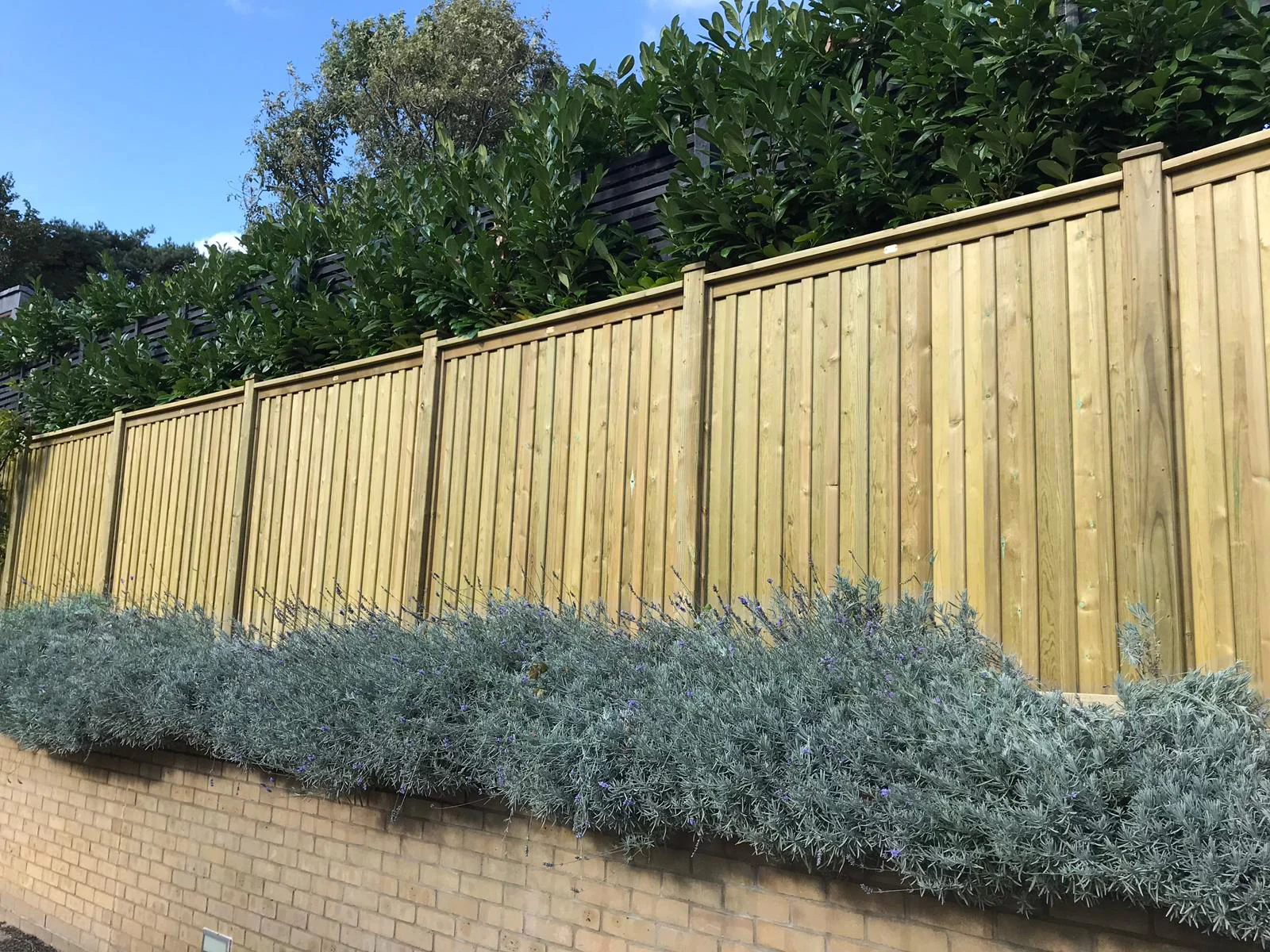 Jacksons Chilham Double Sided Fence Panels image 4