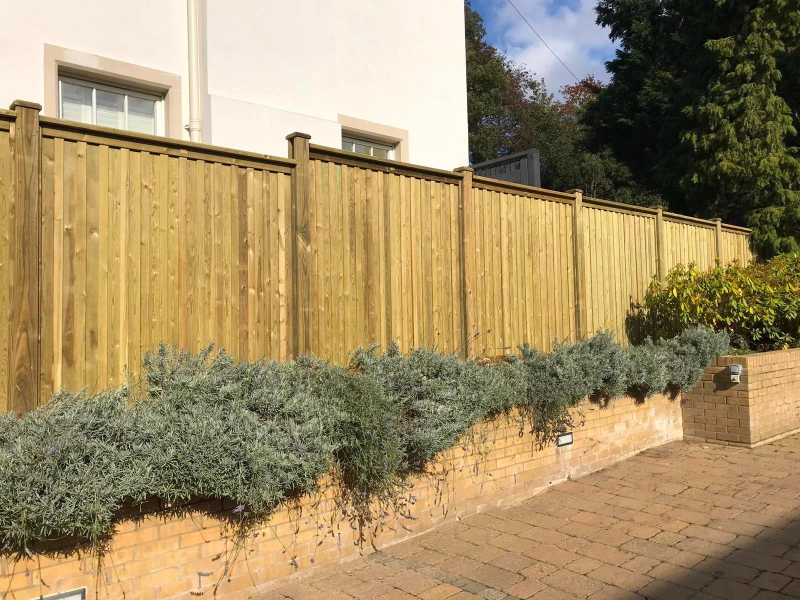 Jacksons Chilham Double Sided Fence Panels image 9