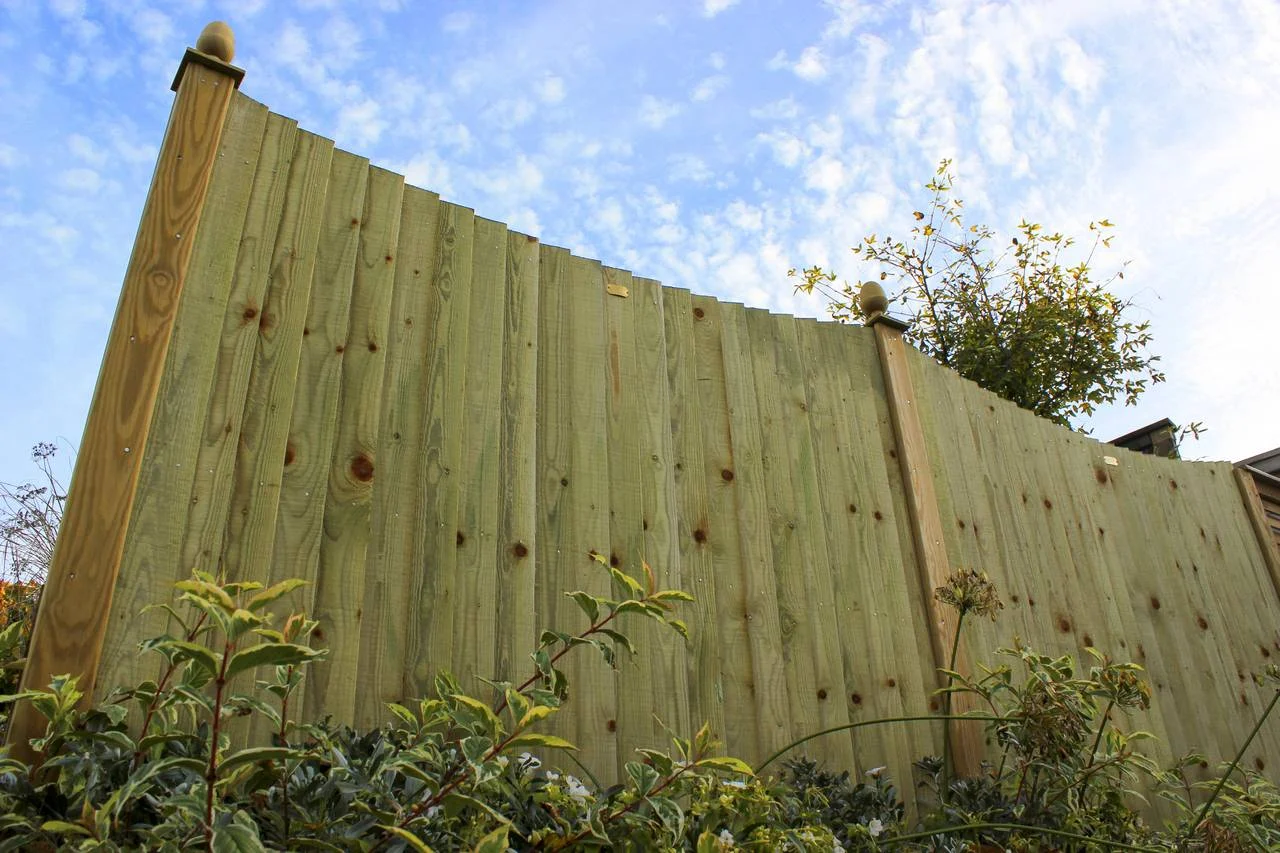 Jacksons Featherboard Concave Fence Panels