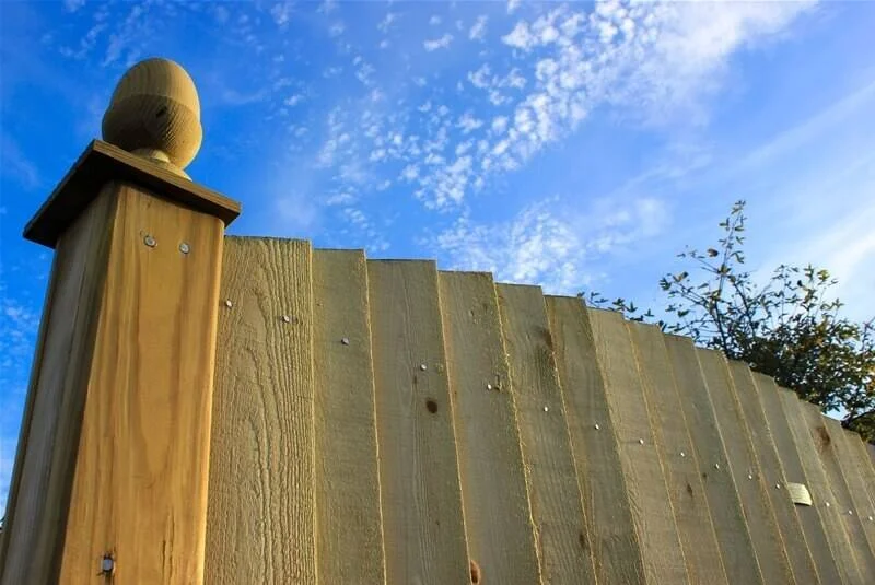 Jacksons Featherboard Convex Fence Panels