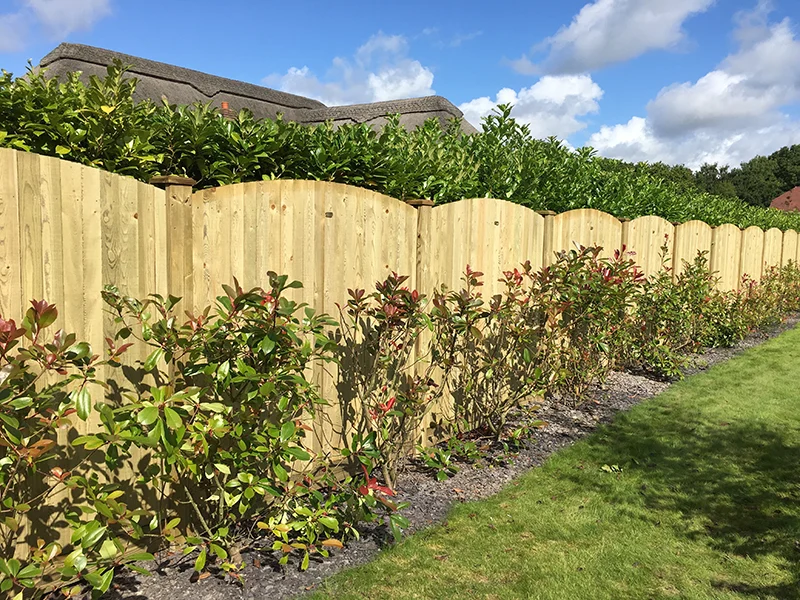 Jacksons Featherboard Convex Fence Panels image 4
