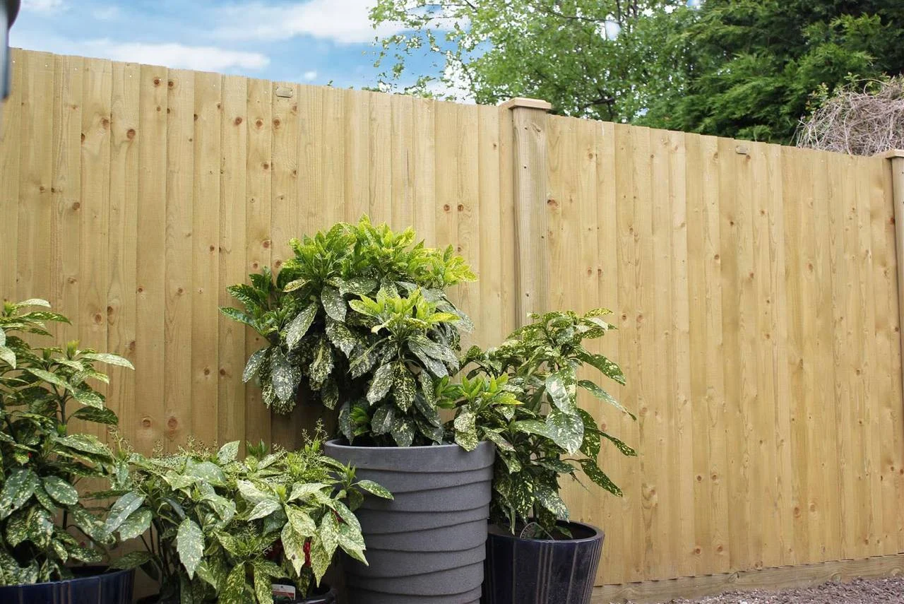 Jacksons Flat Top Featherboard Fence Panels image 3