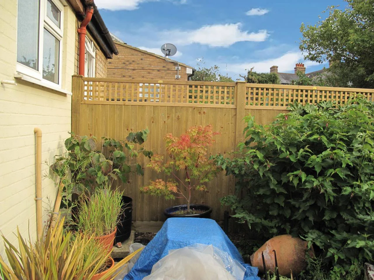 Jacksons Flat Top Featherboard Fence Panels image 5