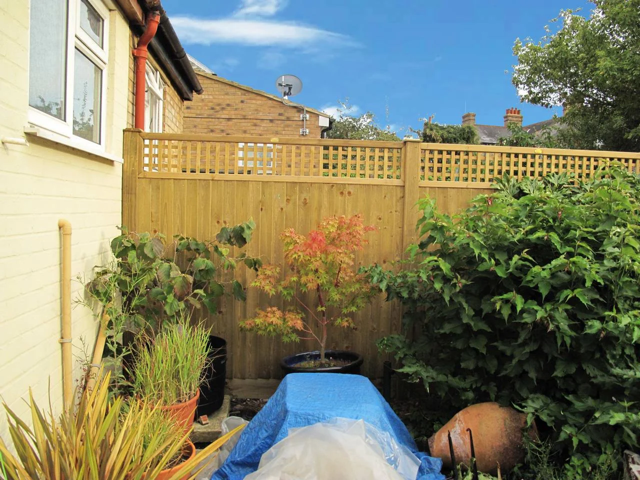 Jacksons Lattice Trellis Panels image 4