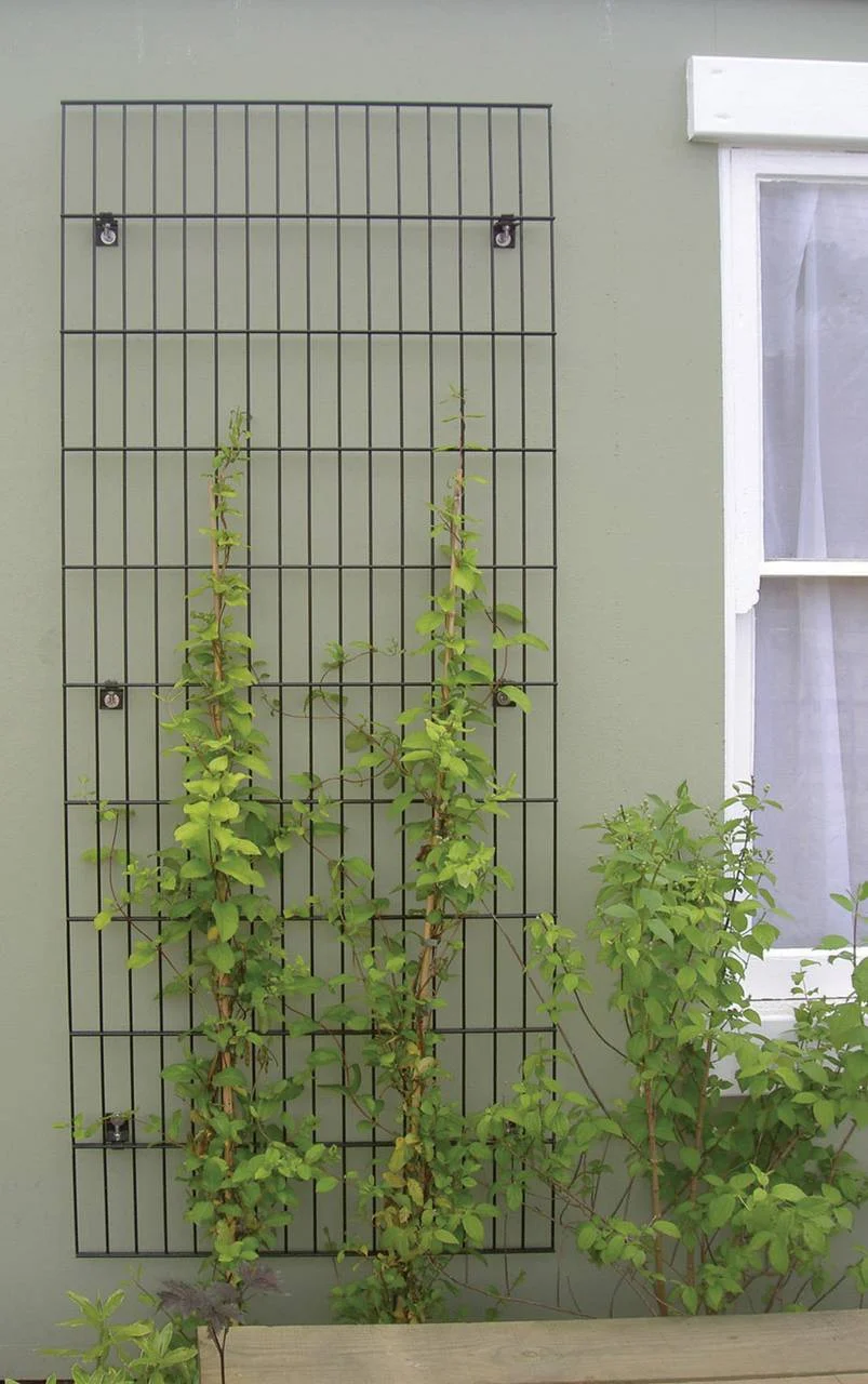 Jacksons Metal Trellis