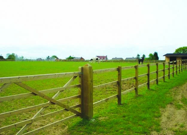 Jacksons Nailed Square Post And Rail Fencing image 5