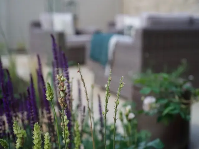 Close-up of premium paving material textures and finishes