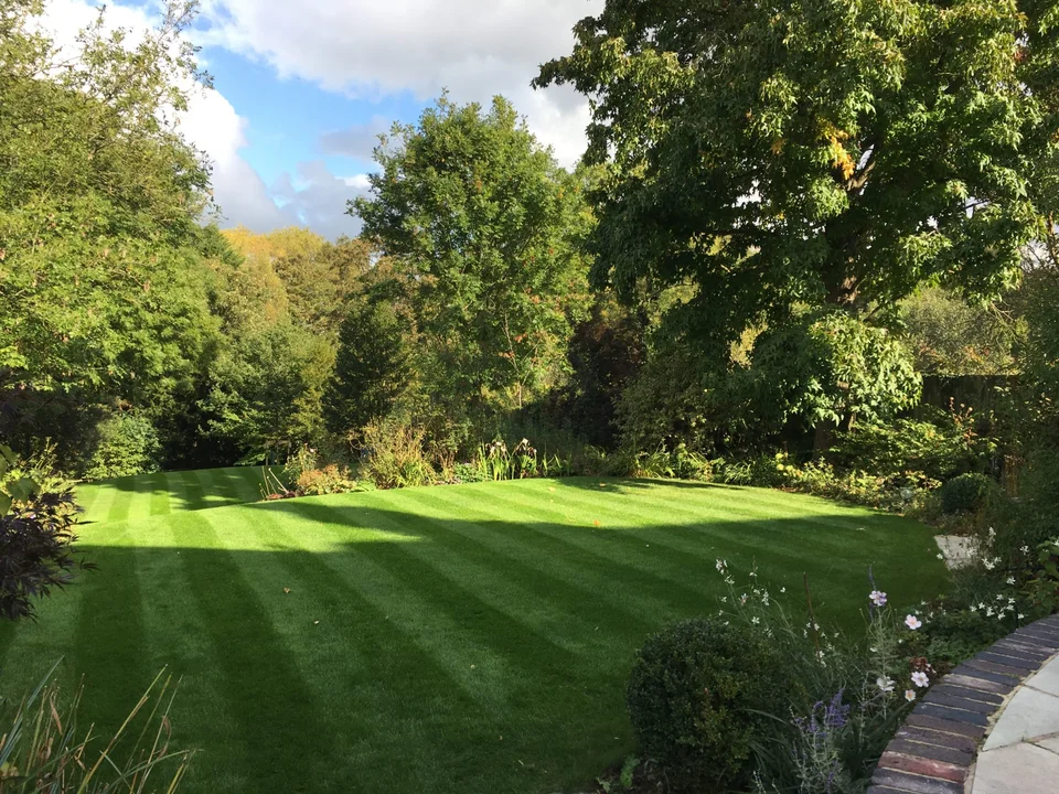Garden Irrigation by George-Stone Gardens