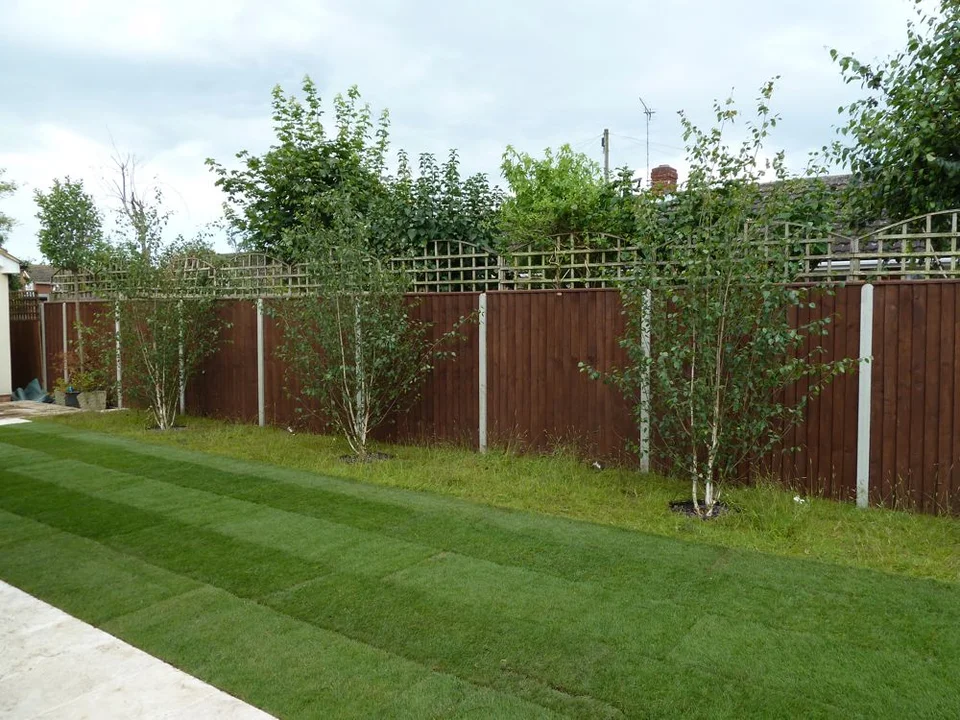 Winter Garden Improvements by George-Stone Gardens