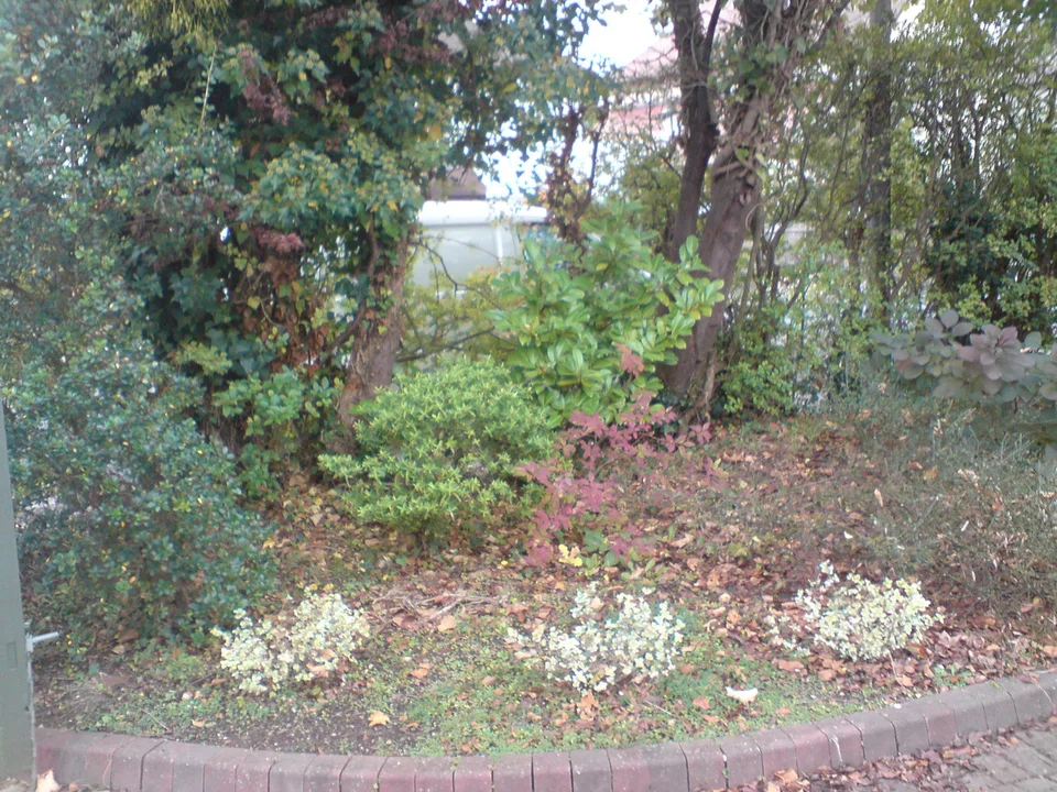 Weed Control