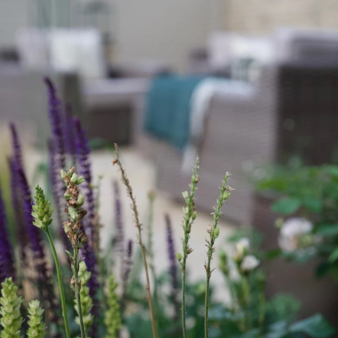 North-Facing Cheltenham Garden — what we built
